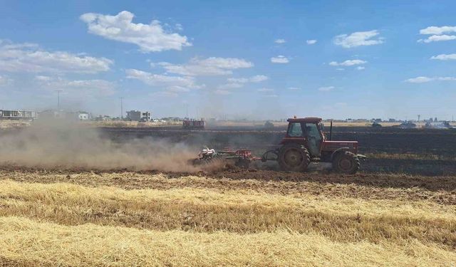 Mardin'de 80 dönüm buğday ekili alan küle döndü
