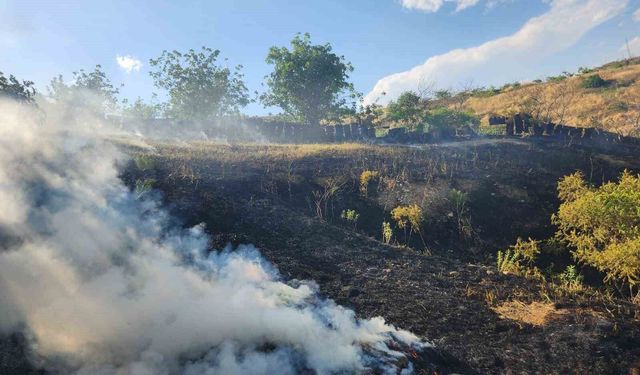 Siirt'te Otluk Alanda Çıkan Yangın Bağlara Sıçradı