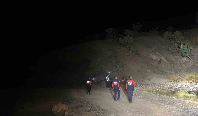 Siirt'te Kayıp Çoban İçin Arama Çalışması Başlatıldı