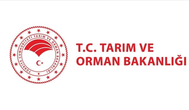 Alkollü İçki Reklamlarına Yeni Düzenleme Geldi