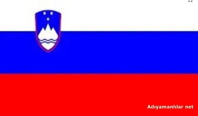 Slovenya'da Akaryakıt Satışına Kısıtlama Getirildi