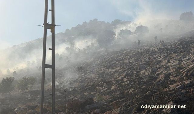 Ulubey Köyü Yakınlarında Anız Yangını Söndürüldü