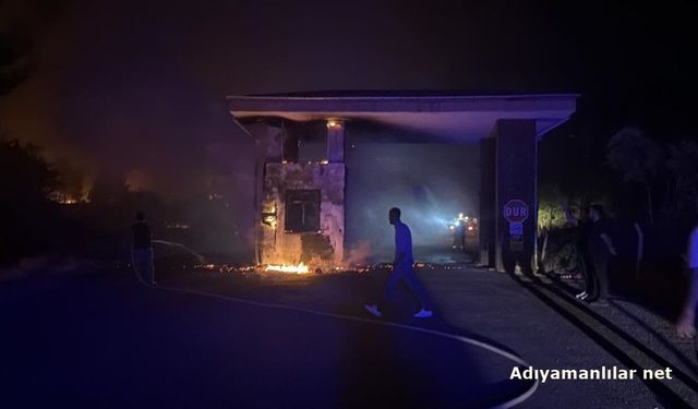 Adıyaman Ali Dağı'nda Orman Yangını Çıktı