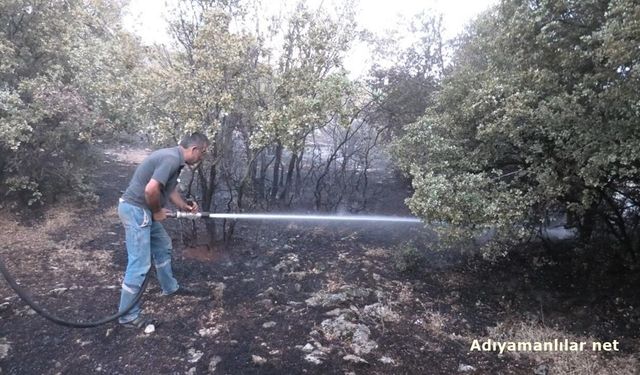 Besni'deki Orman Yangını Kontrol Altına Alındı