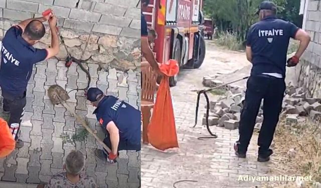 Gölbaşı Ozan Köyü'nde Eve Girmeye Çalışan Yılanlar Yakalandı