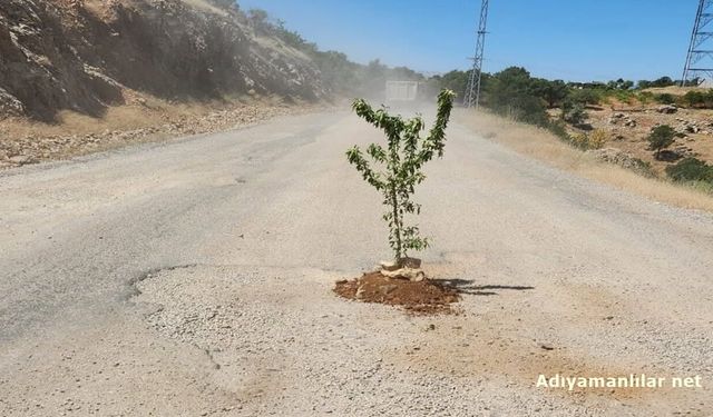 Savran Köylülerinden Asfalt İçin Ağaçlı Tepki