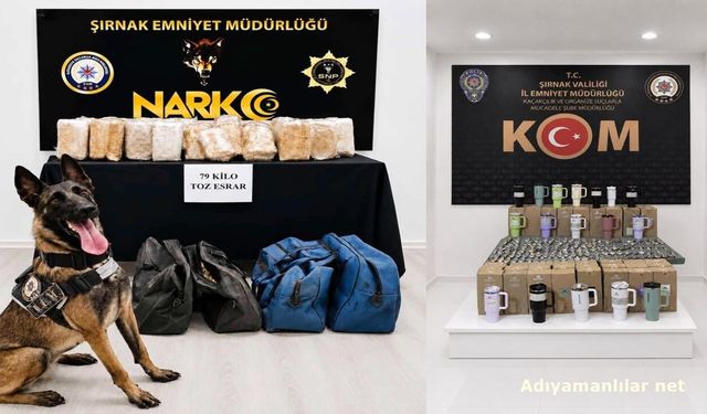 Şırnak'ta Kaçakçılık Operasyonunda 3 Tutuklama