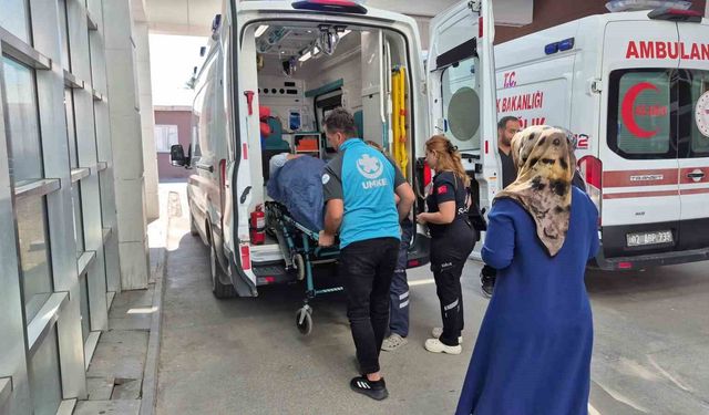 İncir toplarken ağaçtan düşen kişi yaralandı