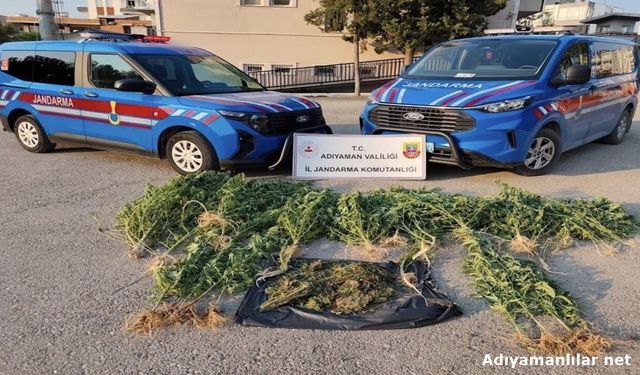 Kahta'da 1,5 Kilo Esrar Ve 42 Kök Kenevir Ele Geçirildi