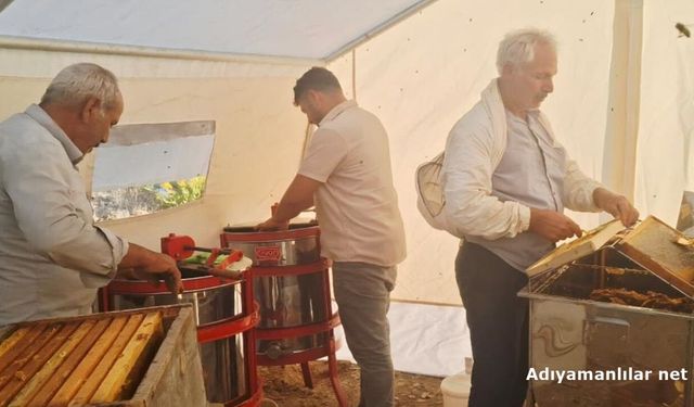 2 Bin 500 Rakımda Bal Hasadı Başladı