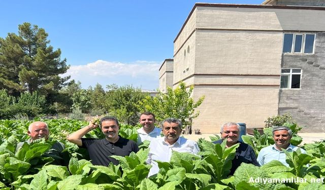 Yeniden Refah'tan Adıyaman Tütün Üreticisine Destek