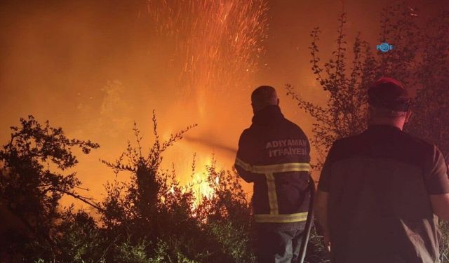 Adana'daki orman yangınına Adıyaman İtfaiyesinden destek