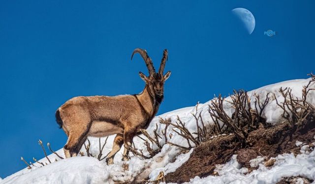 Adıyaman'ın doğası fotoğraf kareleriyle Sanat Sokağı'nda buluşacak