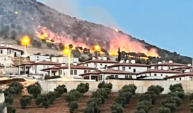 Adıyaman'da ormanlık alanda korkutan yangın