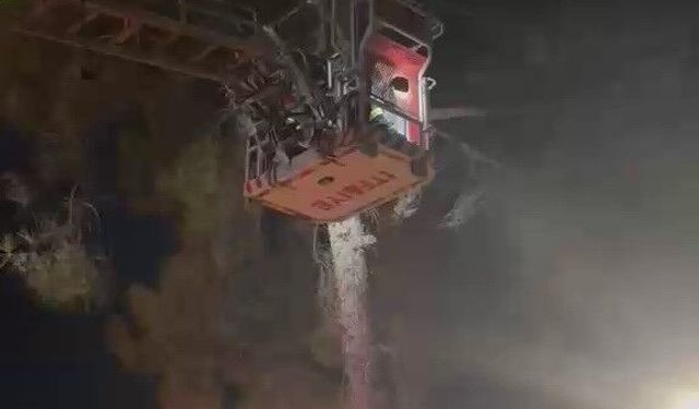 Adıyaman'da mahsur kalan kediyi itfaiye ekipleri kurtardı