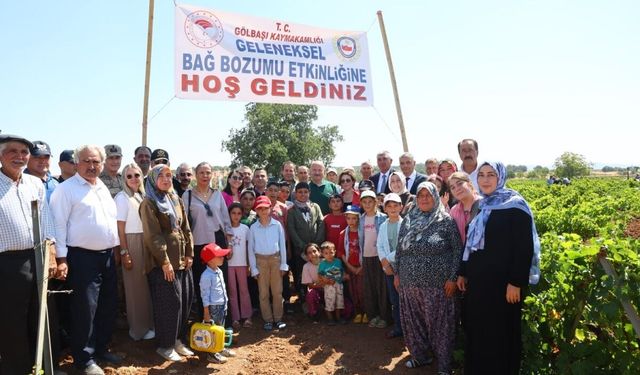 Gölbaşı ilçesinde bağ bozumu şenlikleri başladı