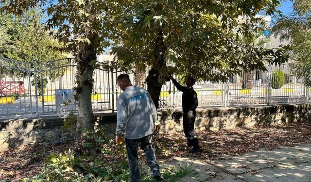 Adıyaman Belediyesi ekipleri eski mezarlık'ta bakım ve temizlik çalışması başlattı