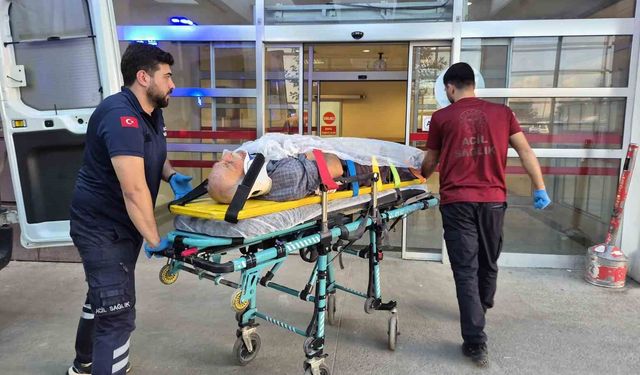 Ağaç keserken düşen yaşlı adam yaralandı