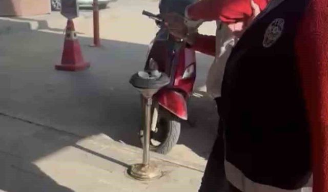 Kediye taşla vuran kadın yakalandı