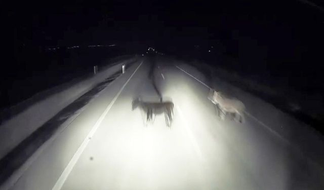 Adıyaman'da tırın eşeklere çarpma anı kameralara yansıdı