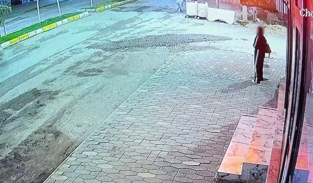 Vicdanları sızlatan anlar kamerada: Yemek yiyen kediye taşla vurdu