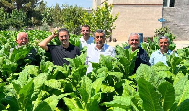Başkan Demir: 'Adıyamanlı tütün üreticisinin sesini duyun'