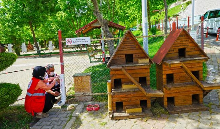 Can dostlar  'tam kapanmada' unutulmadı - Videolu Haber