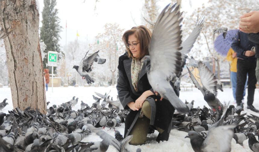 Başkan Fatma Şahin sokak hayvanlarını besledi