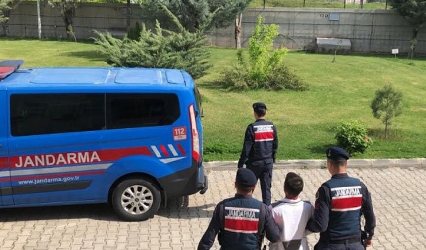 Diyarbakır'da hükümlü 7 kişi yakalandı