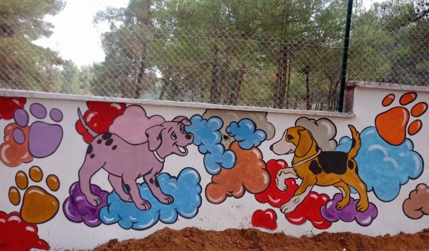 Gaziantep'in sokaklarına sanatsal dokunuş