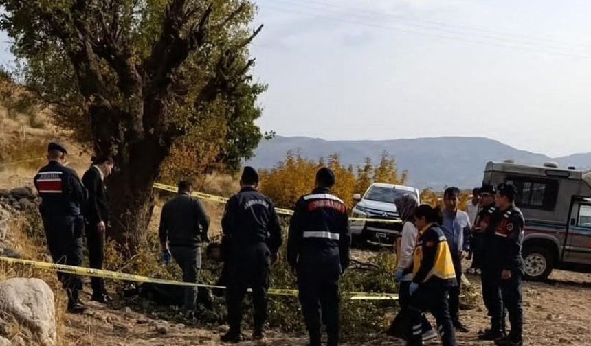 Adıyaman’da budama yaptığı ağaçtan düşen yaşlı adam hayatını kaybetti 