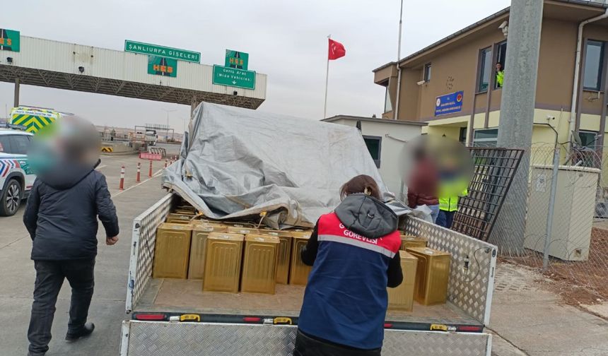 Şanlıurfa’da 2 ton bal şurubu ele geçirildi  - Videolu Haber