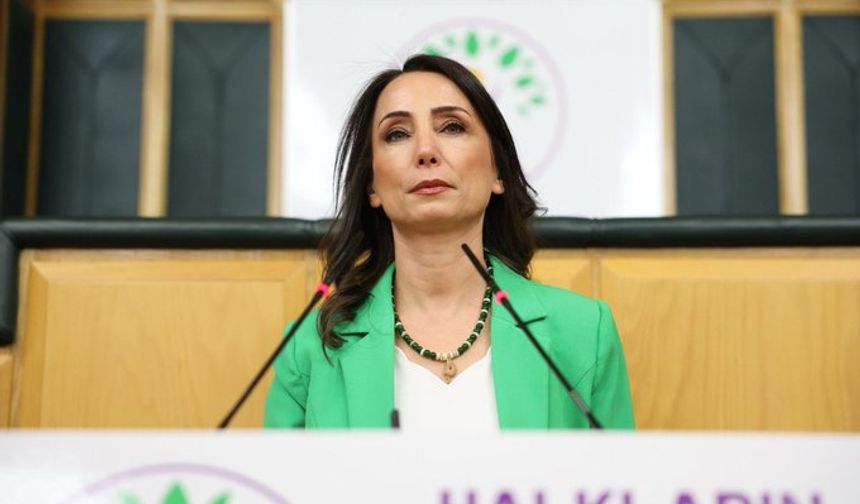 DEM Parti'li Hatimoğulları: 'Öcalan'ın iletişim ve çalışma özgürlüğü için top artık iktidarın sahasında' 