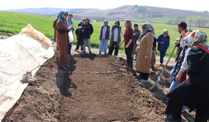 Kadın çiftçilerle sebze fidesi yetiştirme kursu düzenlendi 