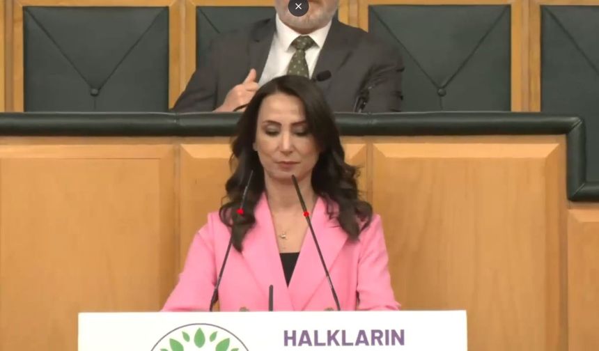 DEM Parti'den 'Barış Komisyonu' çağrısı: ‘TBMM'de tam yetkili bir komisyona ihtiyaç var’ 