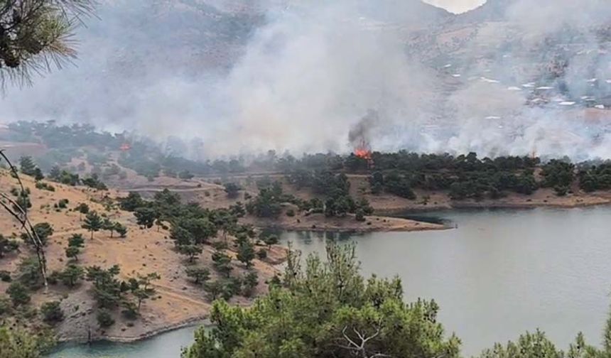 Adıyaman’da orman alanda korkutan yangın  - Videolu Haber