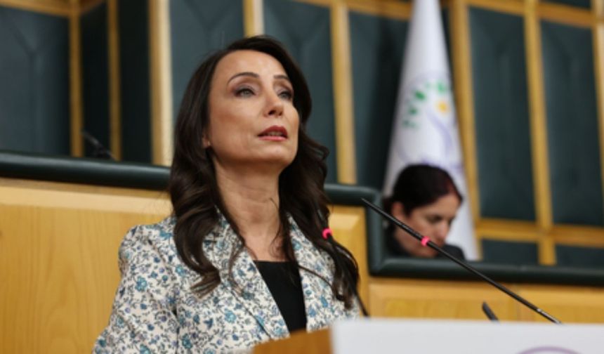 Hatimoğulları: 'Silah bırakma merasimi barışın eşiğidir, Meclis somut adımlar atmalıdır' 