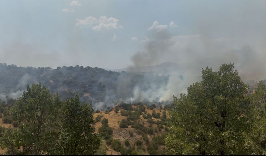 MHP Gerger İlçe Teşkilatı’ndan yangın sonrası fidan seferberliği: ‘Küllerimizden yeniden yeşereceğiz’