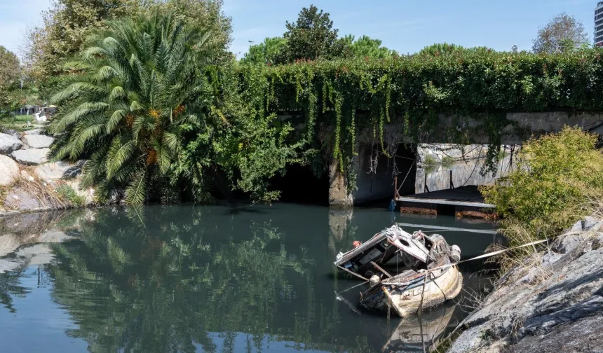 İstanbul'da fotoğraf tutkunları Maltepe’yi kadrajladı