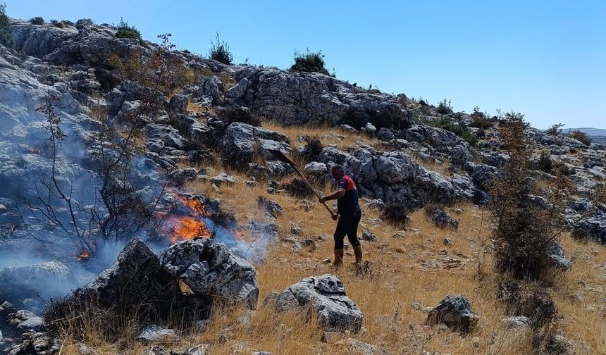 Besni Sugözü Mesire alanında korkutan yangın