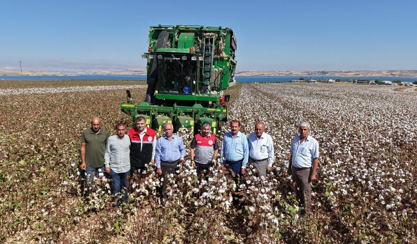 Adıyaman'da pamuk hasadı başladı: 23 bin 500 ton rekolte bekleniyor - Videolu Haber