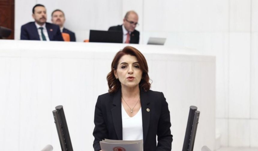 CHP'li Kış: 'Her 4 saniyede bir icra dosyası açılıyor, her 4 saniyede bir umut sönüyor'