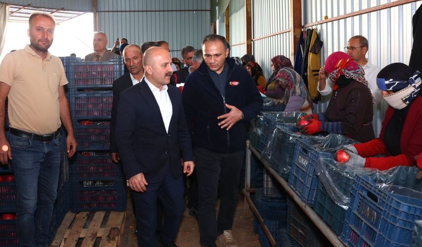 Vali Osman Varol, nar hasadının ardından soğuk hava deposunu inceledi