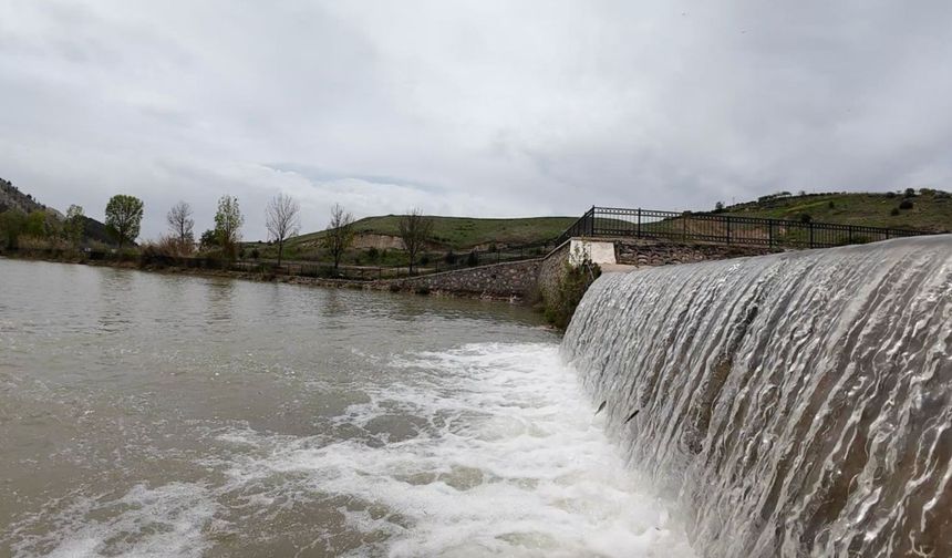Adıyaman Beşpınar'da akıntıya karşı yüzen balıklar dikkat çekti - Videolu Haber