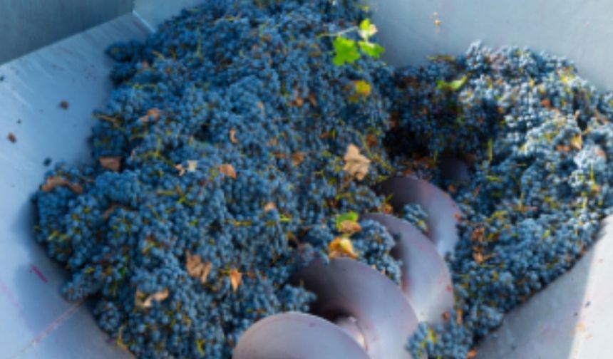 Adıyaman'da üzüm sıkma makinesi dağıtımı için başvurular başladı