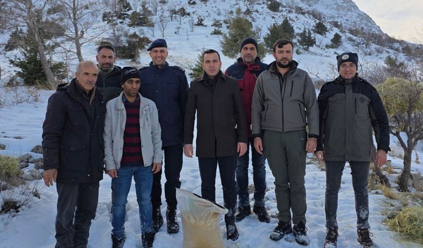 Adıyaman Gölbaşı'nda yaban hayvanları için doğaya yem bırakıldı