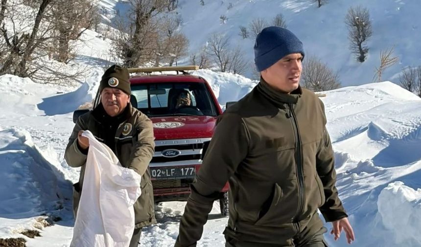 Adıyaman'da yaban hayvanları için kış dönemi yemleme çalışması