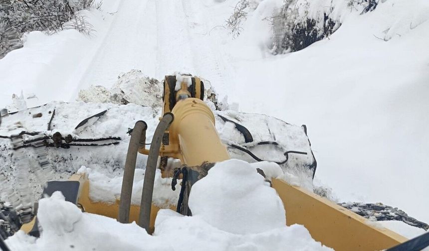 Adıyaman'ın gölbaşı ilçesinde karla mücadele çalışmaları sürüyor