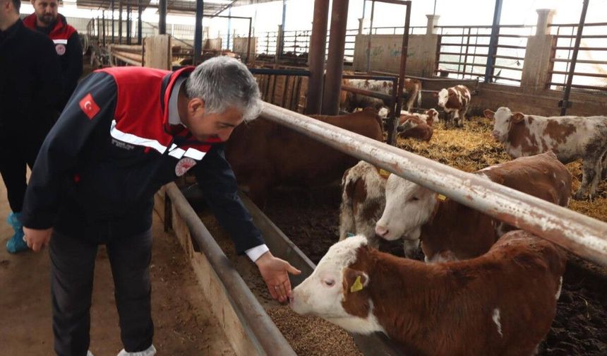 Daire Başkanı Melikşah Taşkın'dan hastalıktan ari işletme incelemesi