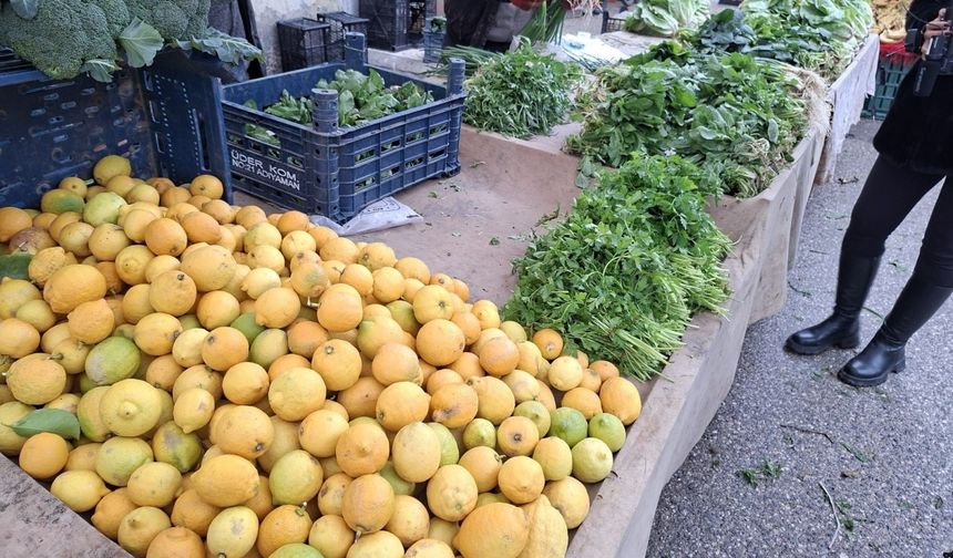Adıyaman Pazarlarının zam şampiyonu yeşil soğan oldu